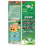 美术招生展架海报
