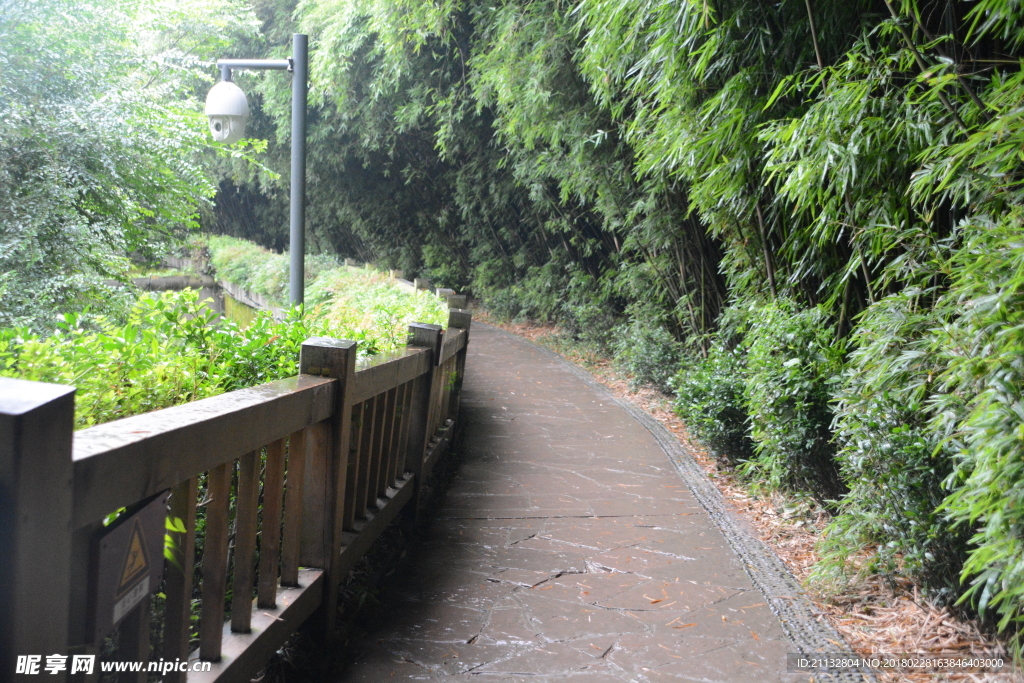 山水风景