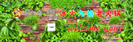 绿色背景墙