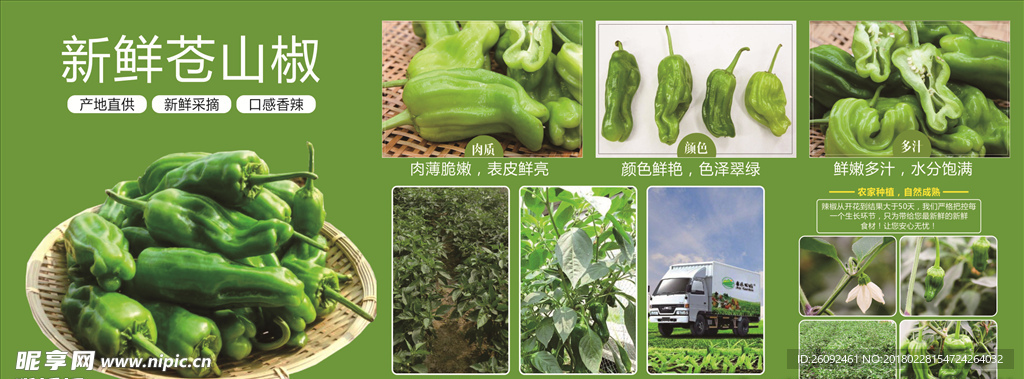 生鲜 苍山椒 辣椒