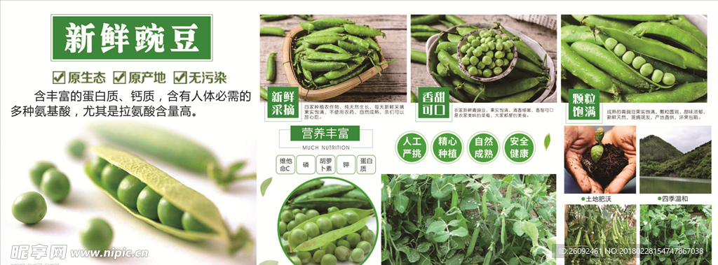生鲜 豌豆 营养价值 超市