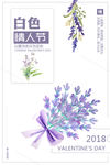 白色情人节