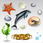 矢量海洋生物贝壳