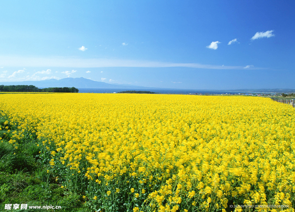 蓝天白云风景画