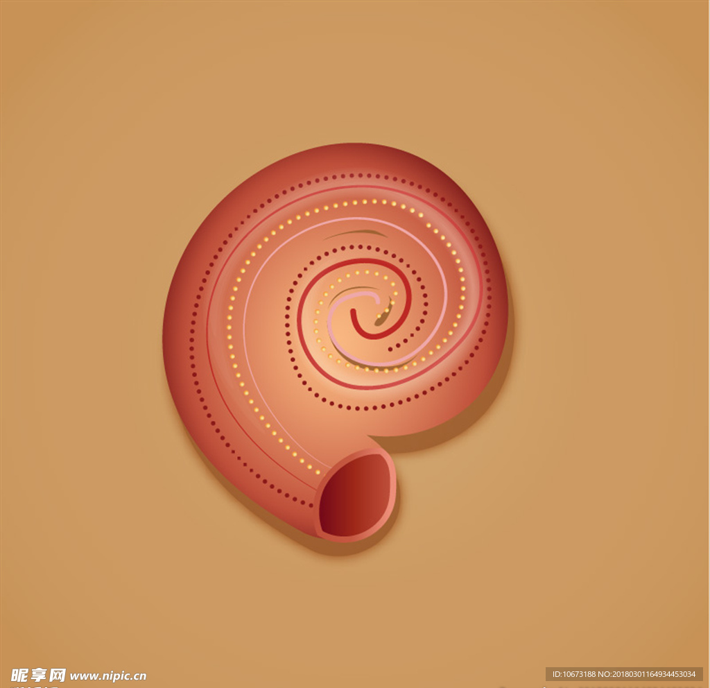 贝壳