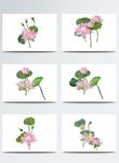 荷花矢量