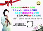 禅修顾问