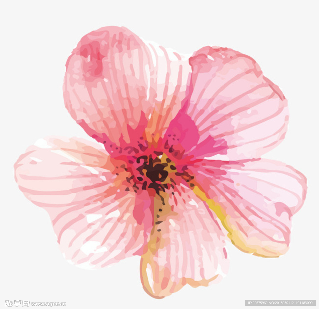 手绘花免费下载