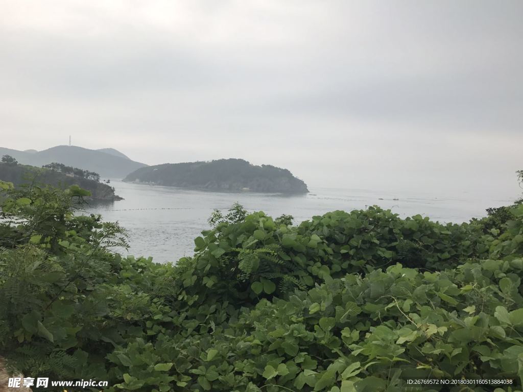 大长山海景