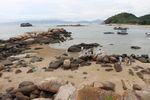 海岸风景