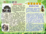 可爱的家乡