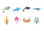海洋生物