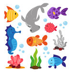 海洋生物