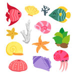 海洋生物