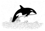 海洋生物