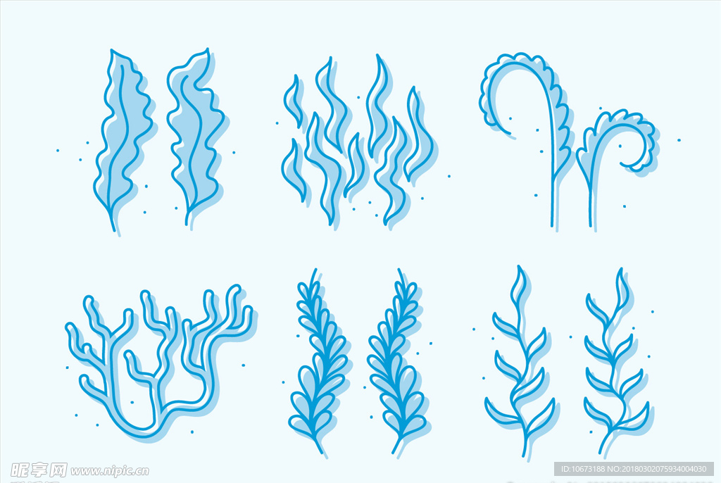 海洋生物