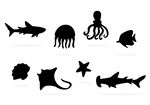 海洋生物