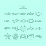 海洋生物