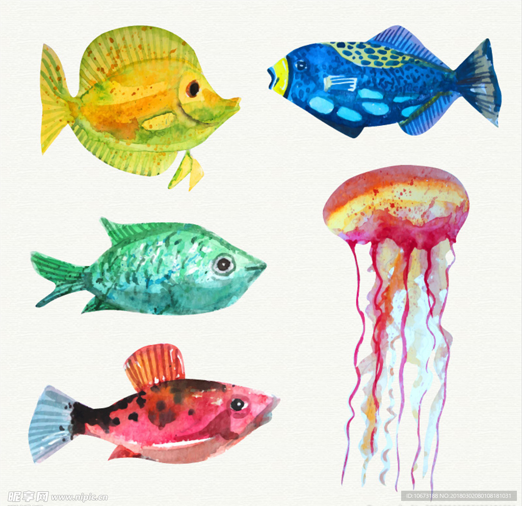 海洋生物