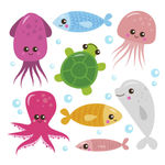 海洋生物