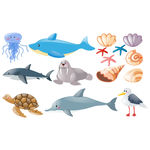 海洋生物