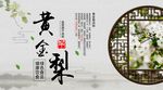 黄金梨