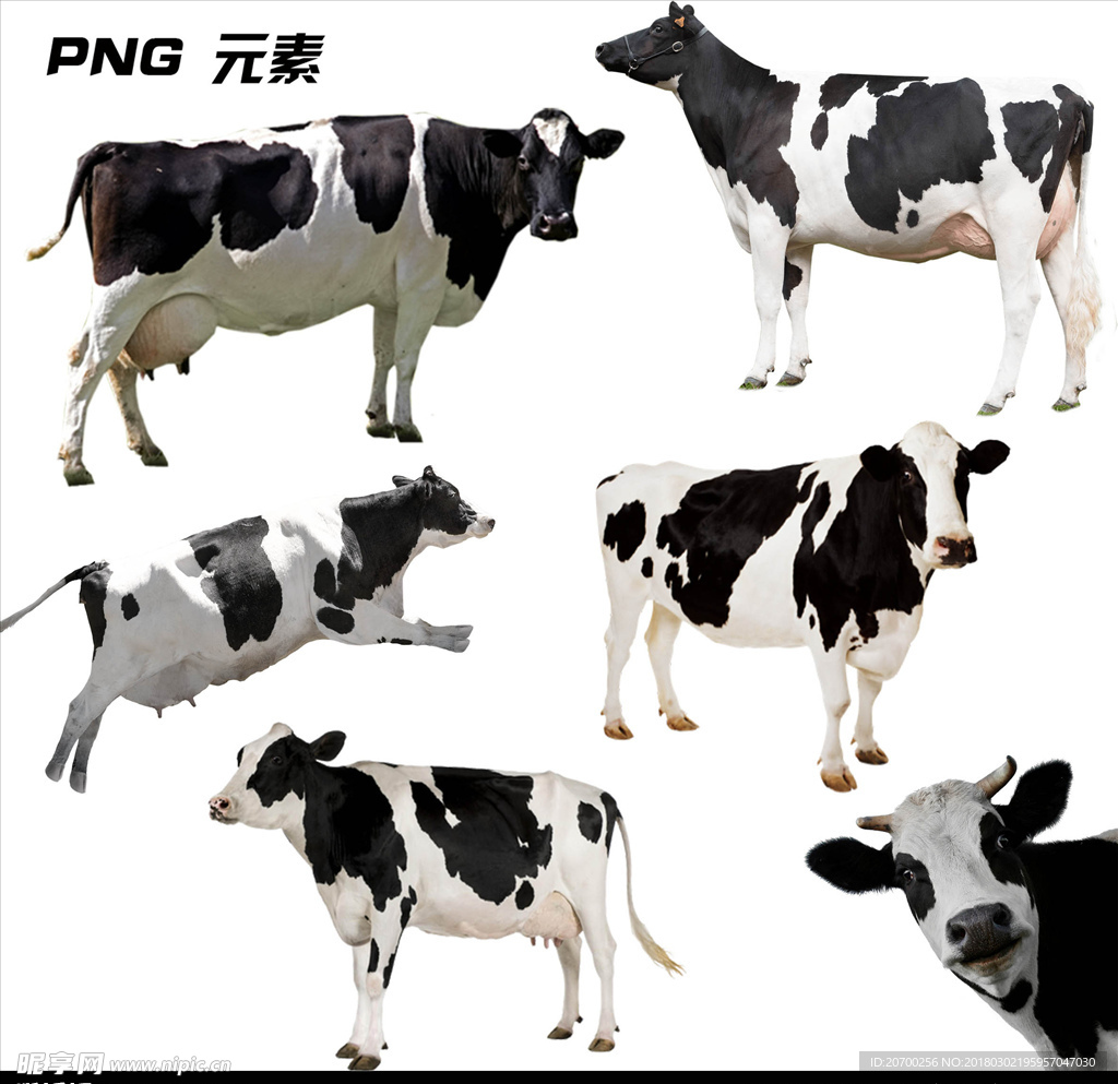 奶牛免扣元素