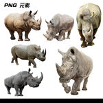 犀牛免扣元素