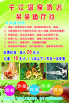 鱼疗池