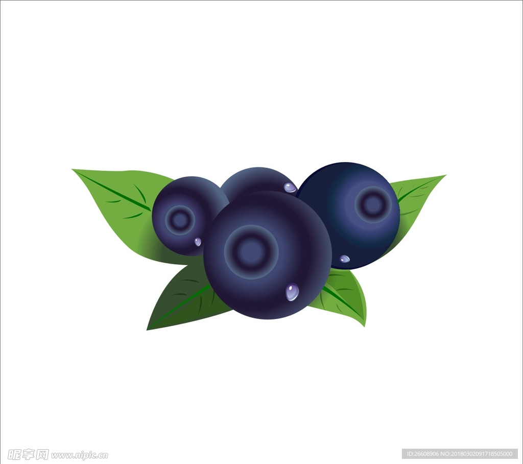 蓝莓