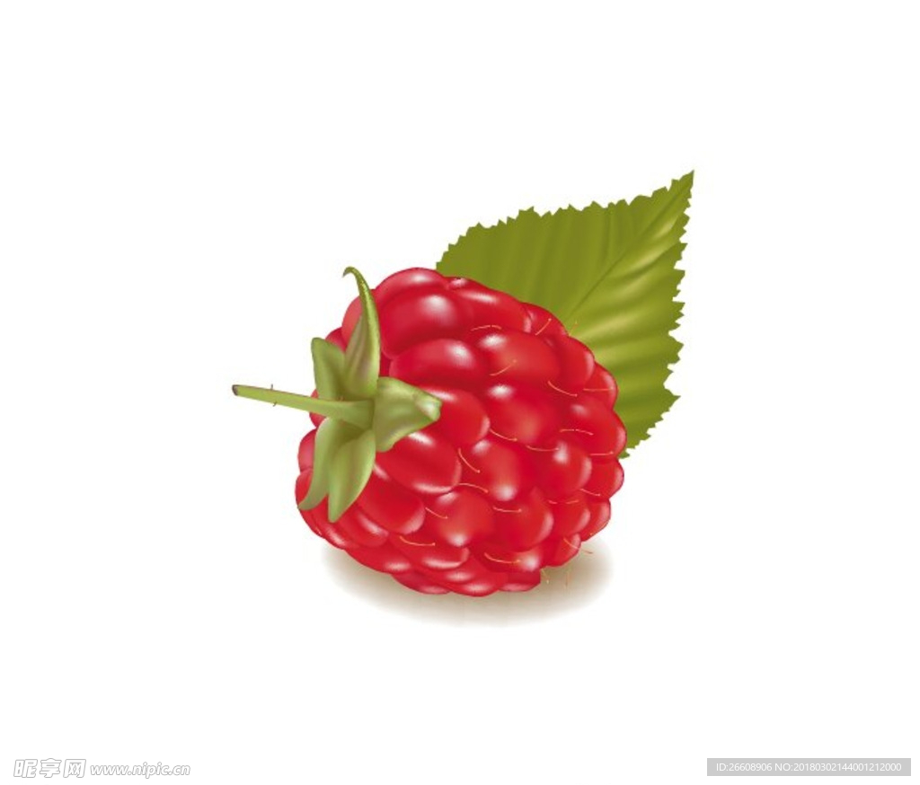 树莓