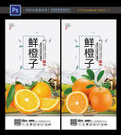 橙子