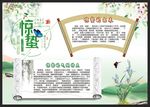 二十四节气之一 惊蛰节小报