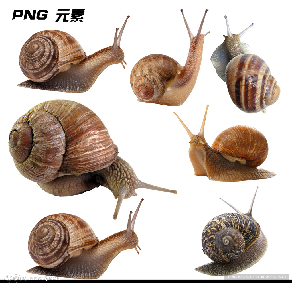 蜗牛免扣元素