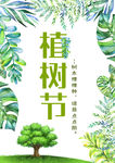 植树节