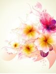 唯美花朵
