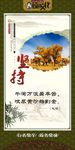 名人名言