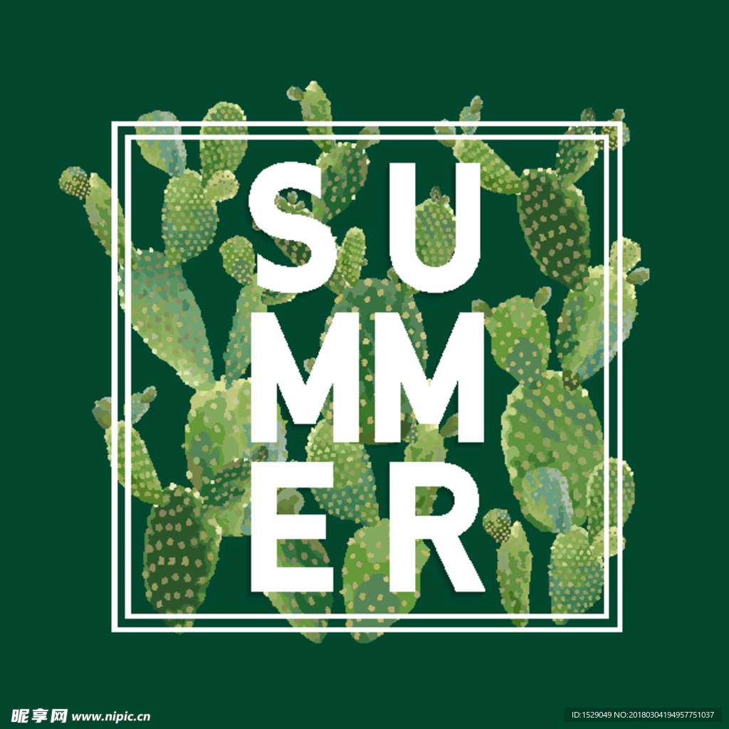 夏天植物背景