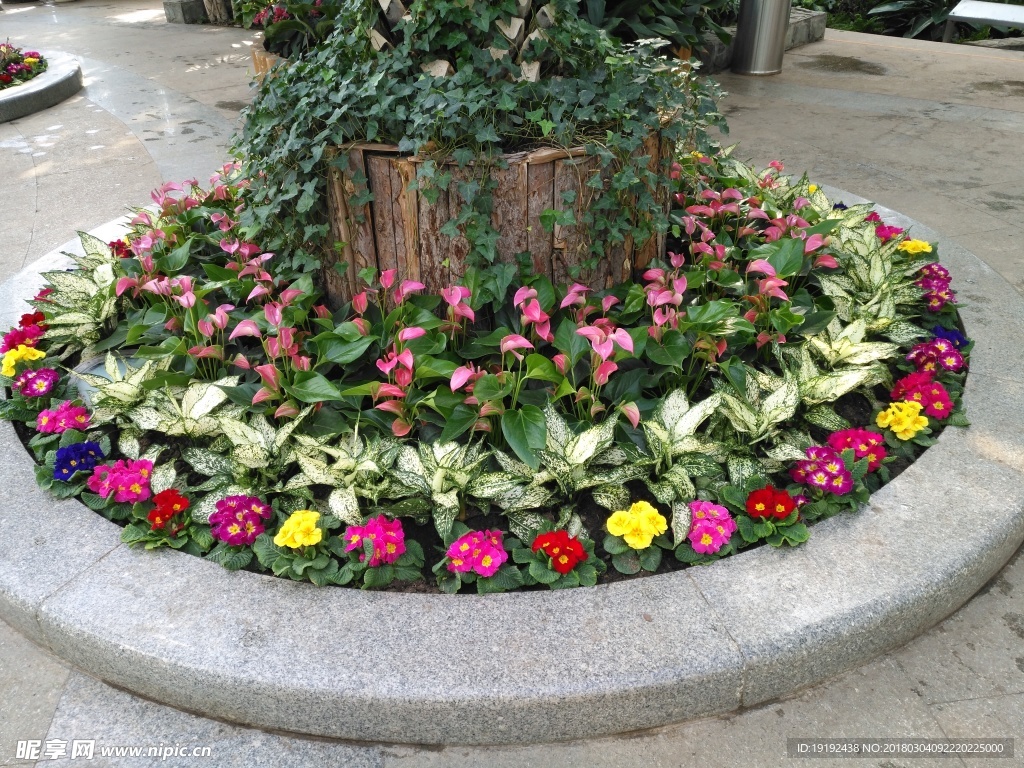 花坛