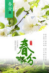 春天