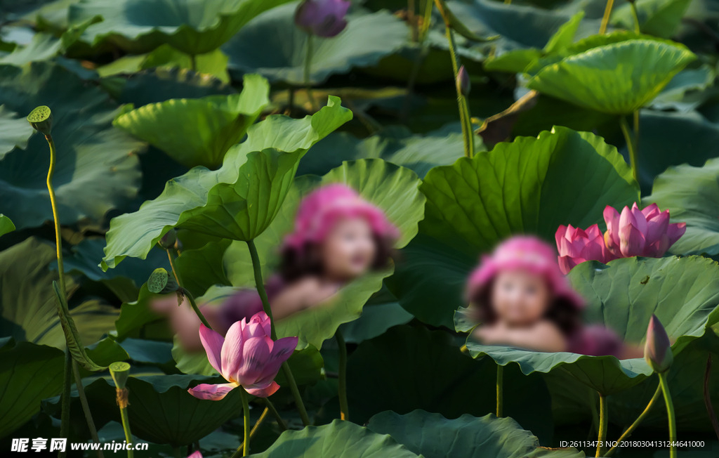 儿童 摄影 写真 3d  模板