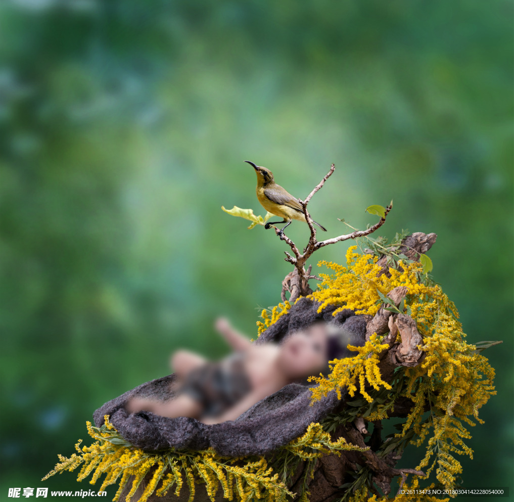 儿童 写真 3d 素材 模板
