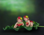 儿童 写真 3d 素材 模板