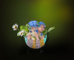 儿童 写真 3d 素材 模板