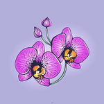 手绘花卉模板