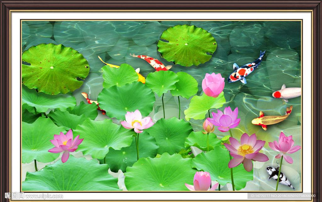 荷花国画
