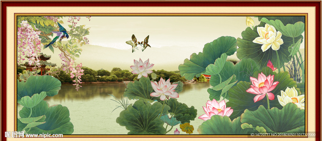荷花风景