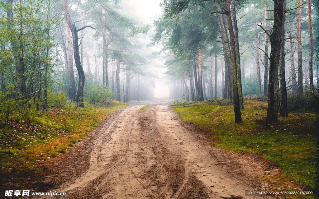 乡村道路风景