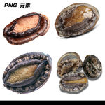 鲍鱼免扣元素
