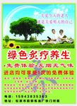 绿色炙疗养生